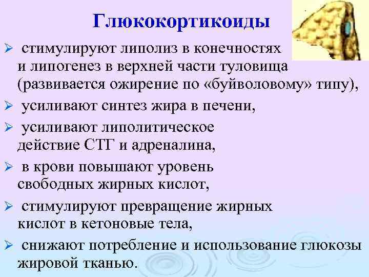 Глюкокортикоиды стимулируют липолиз в конечностях и липогенез в верхней части туловища (развивается ожирение по