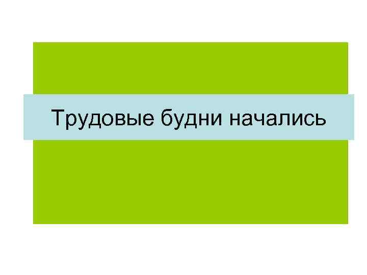 Трудовые будни начались 