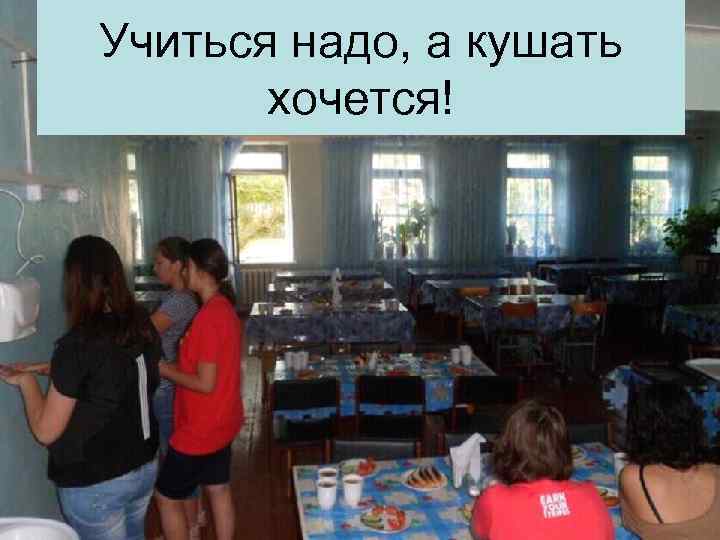 Учиться надо, а кушать хочется! 