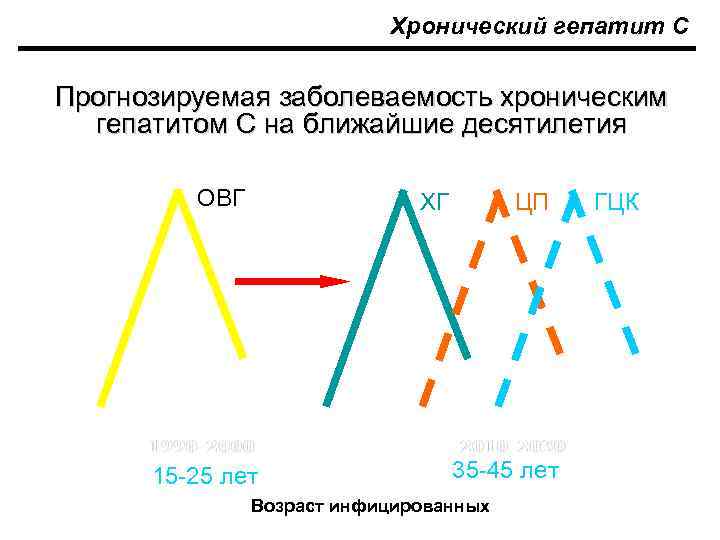 Хронический гепатит С Прогнозируемая заболеваемость хроническим гепатитом С на ближайшие десятилетия ОВГ ХГ ЦП