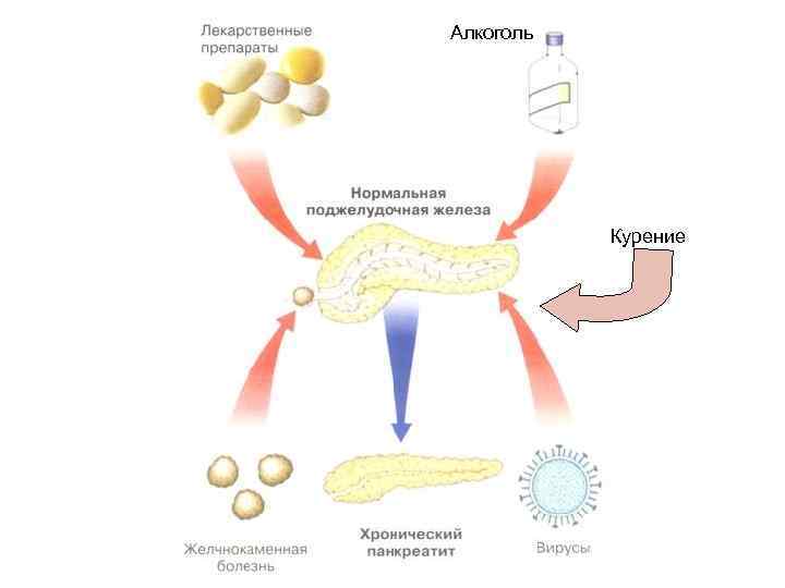 Алкоголь Курение 