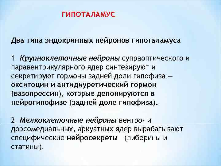  ГИПОТАЛАМУС Два типа эндокринных нейронов гипоталамуса 1. Крупноклеточные нейроны супраоптического и паравентрикулярного ядер