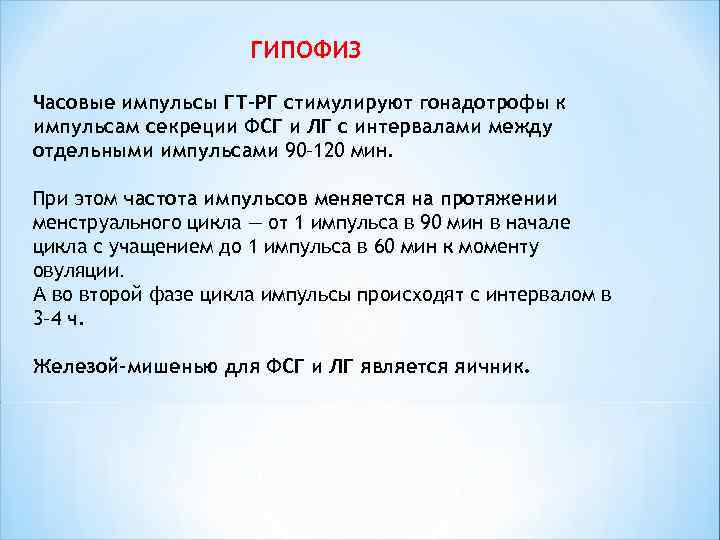  ГИПОФИЗ Часовые импульсы ГТ-РГ стимулируют гонадотрофы к импульсам секреции ФСГ и ЛГ с