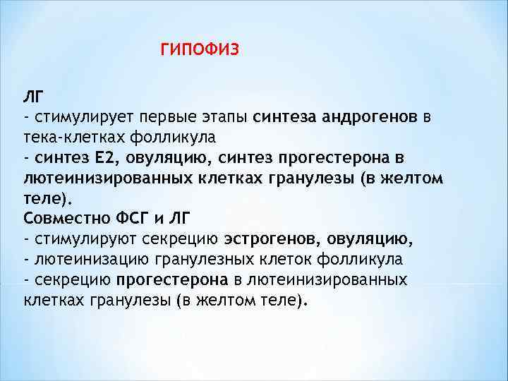  ГИПОФИЗ ЛГ - стимулирует первые этапы синтеза андрогенов в тека-клетках фолликула - синтез