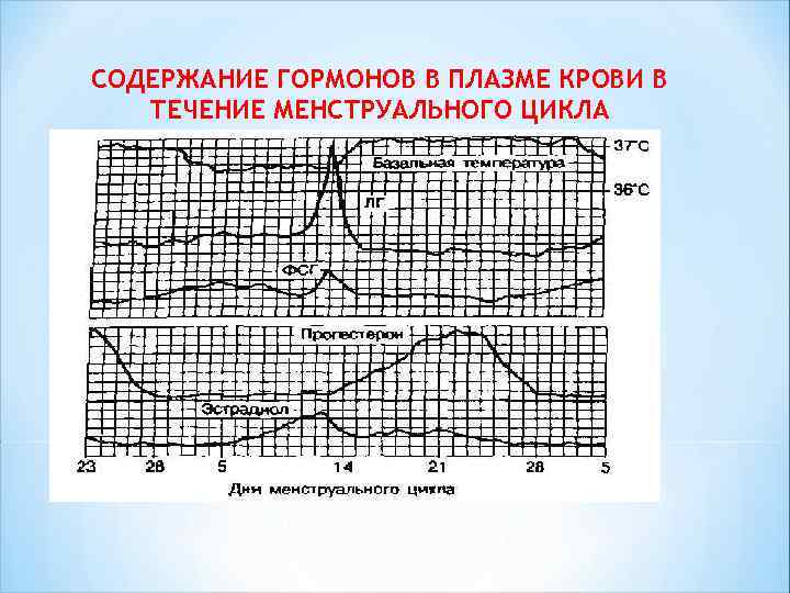 СОДЕРЖАНИЕ ГОРМОНОВ В ПЛАЗМЕ КРОВИ В ТЕЧЕНИЕ МЕНСТРУАЛЬНОГО ЦИКЛА 