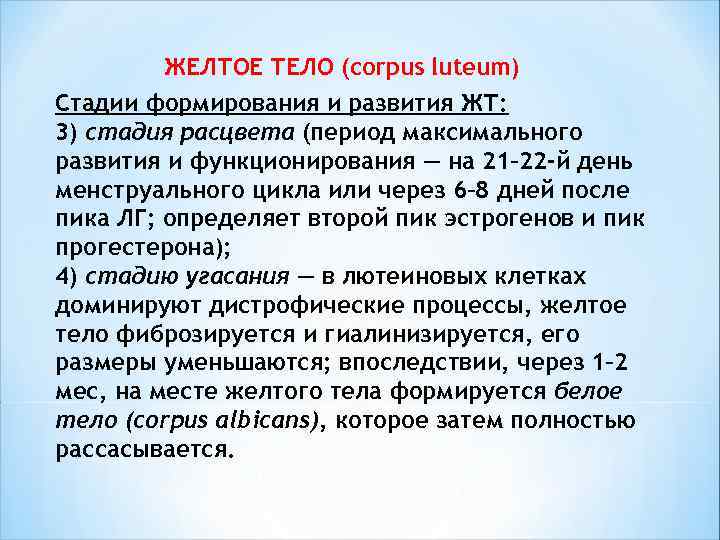  ЖЕЛТОЕ ТЕЛО (corpus luteum) Стадии формирования и развития ЖТ: 3) стадия расцвета (период