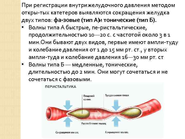 При регистрации внутрижелудочного давления методом откры тых катетеров выявляются сокращения желудка двух типов: фа