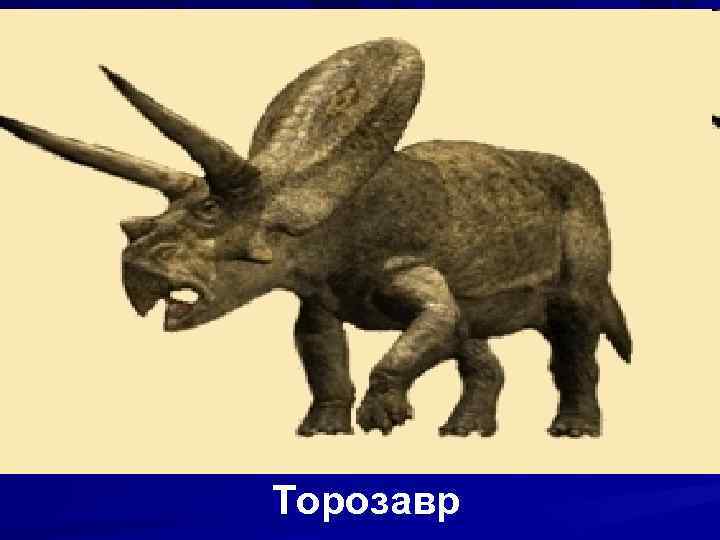 Торозавр 