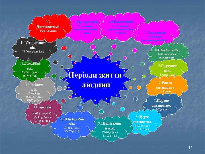 15. Довгожителі. 90 р. і більше 1. Зародковий. 2. Перехідний. 0 -8 тиждень внутршіньоутробног