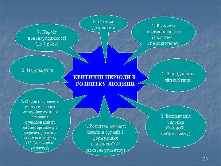 7. Пероід новонародженості (до 1 року) 8. Статеве дозрівання 6. Народження КРИТИЧНІ ПЕРІОДИ В
