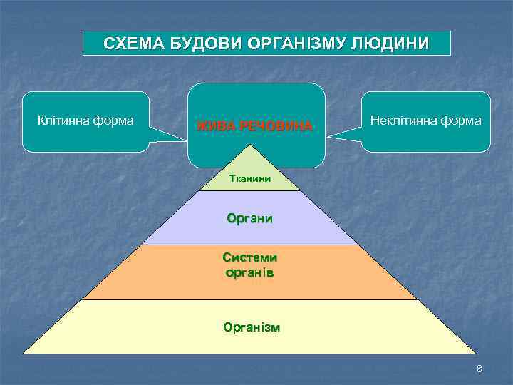 СХЕМА БУДОВИ ОРГАНІЗМУ ЛЮДИНИ Клітинна форма ЖИВА РЕЧОВИНА Неклітинна форма Тканини Органи Системи органів