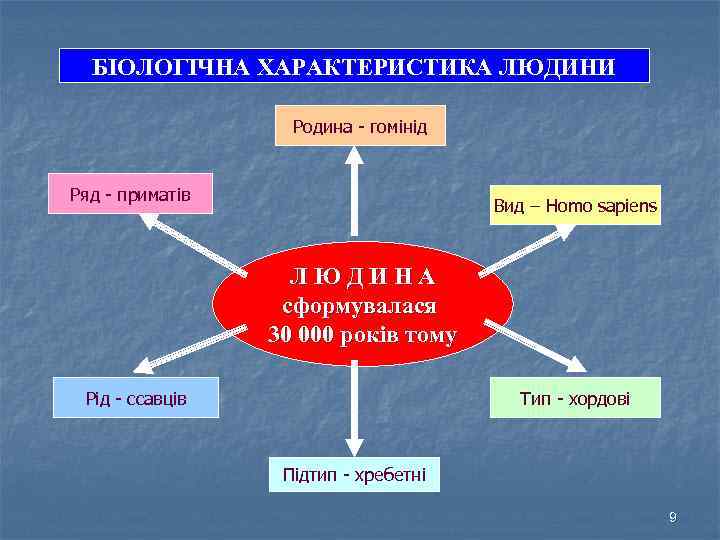 БІОЛОГІЧНА ХАРАКТЕРИСТИКА ЛЮДИНИ Родина - гомінід Ряд - приматів Вид – Homo sapiens ЛЮДИНА