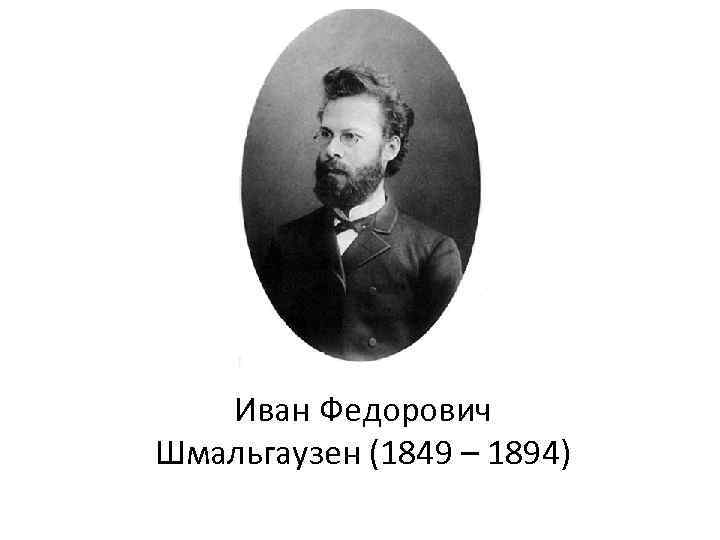 Иван Федорович Шмальгаузен (1849 – 1894) 