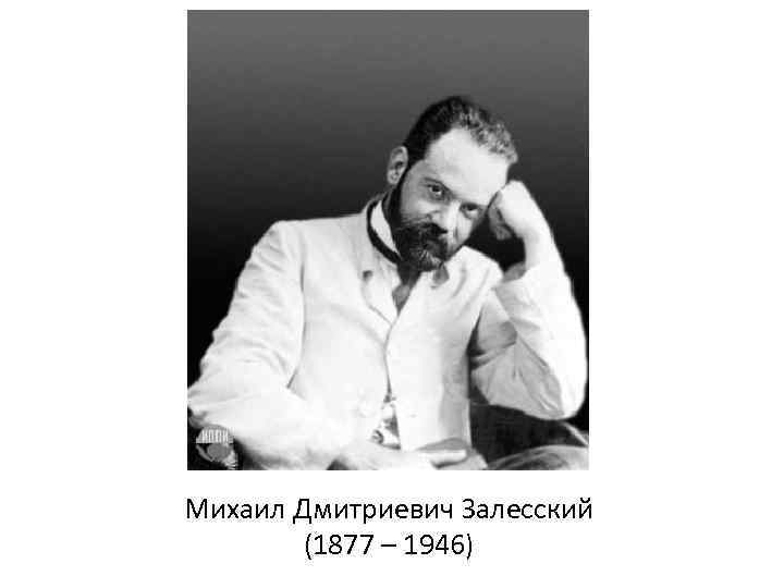 Михаил Дмитриевич Залесский (1877 – 1946) 