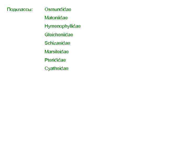 Подклассы: Osmundidae Matoniidae Hymenophyllidae Gleicheniidae Schizaeidae Marsileidae Pterididae Cyatheidae 