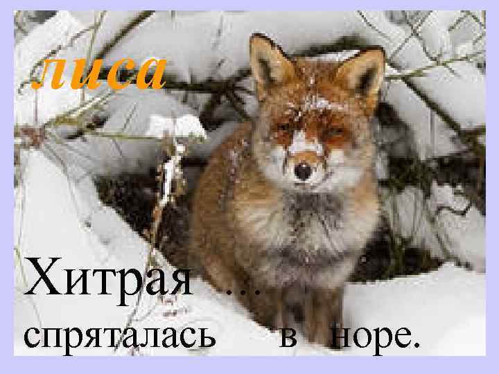 лиса Хитрая спряталась … в норе. 