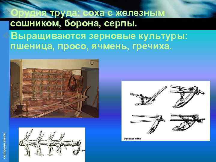 company name v. Орудия труда: соха с железным сошником, борона, серпы. v. Выращиваются зерновые
