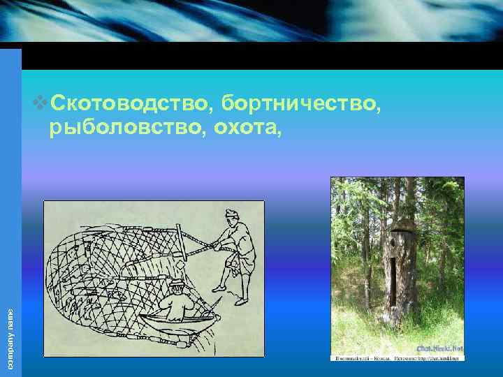 company name v. Скотоводство, бортничество, рыболовство, охота, 