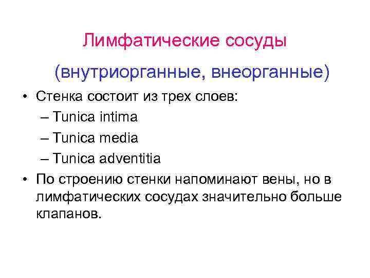 Лимфатические сосуды (внутриорганные, внеорганные) • Стенка состоит из трех слоев: – Tunica intima –