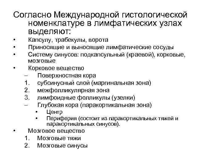 Согласно Международной гистологической номенклатуре в лимфатических узлах выделяют: • • Капсулу, трабекулы, ворота Приносящие