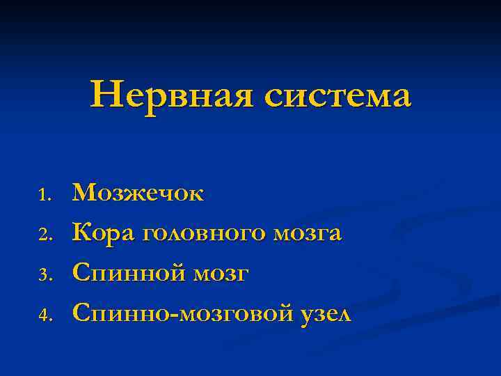 Нервная система 1. 2. 3. 4. Мозжечок Кора головного мозга Спинной мозг Спинно-мозговой узел