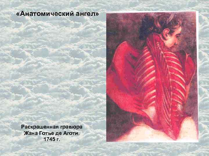  «Анатомический ангел» Раскрашенная гравюра Жана Готье де Аготи. 1745 г. 