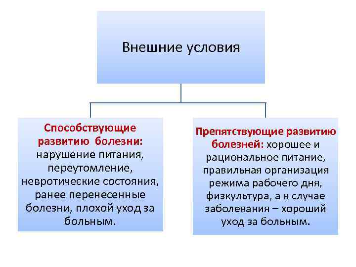 Внешние условия Способствующие развитию болезни: нарушение питания, переутомление, невротические состояния, ранее перенесенные болезни, плохой