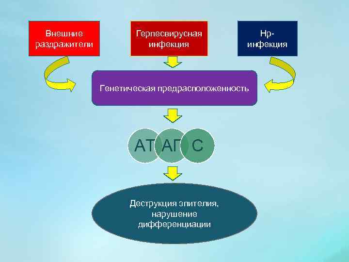Внешние раздражители Герпесвирусная инфекция Hpинфекция Генетическая предрасположенность АТ АГ С Деструкция эпителия, нарушение дифференциации