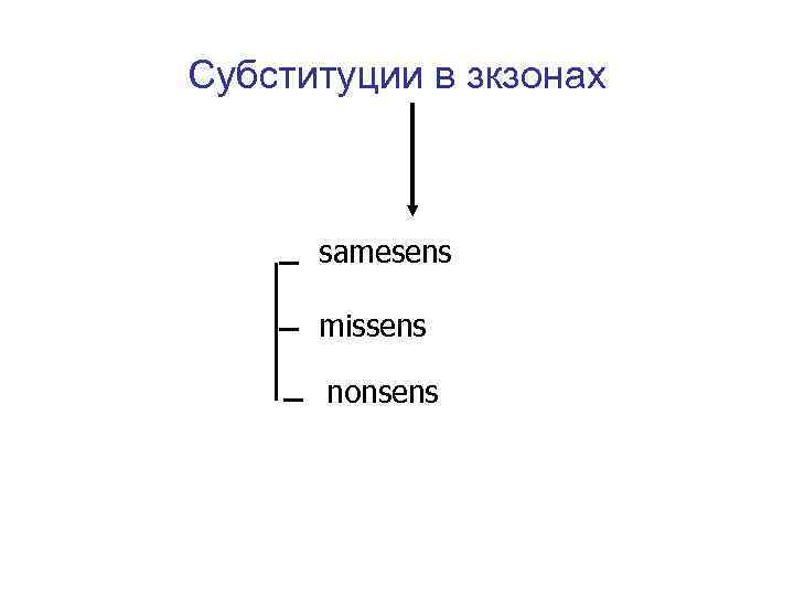 Субституции в зкзонах samesens missens nonsens 