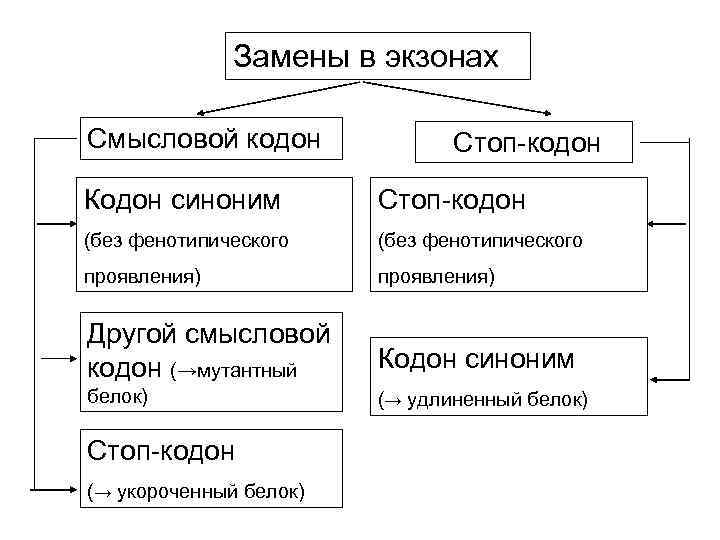  Замены в экзонах Смысловой кодон Стоп-кодон Кодон синоним Стоп-кодон (без фенотипического проявления) Другой