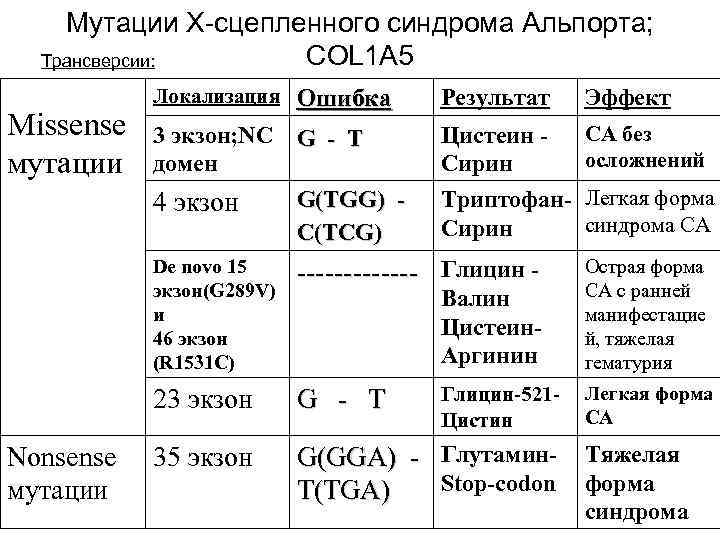  Мутации Х-сцепленного синдрома Альпорта; Трансверсии: COL 1 A 5 Локализация Ошибка Результат Эффект