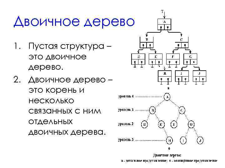 Двоичное дерево. Полное бинарное дерево. Структура хранения бинарного дерева. Потомки в бинарном дереве. Структура двоичного дерева.