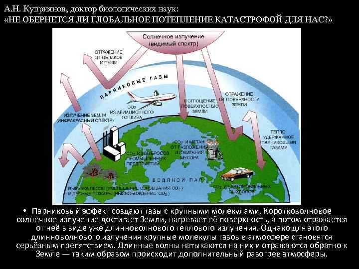 А. Н. Куприянов, доктор биологических наук: «НЕ ОБЕРНЕТСЯ ЛИ ГЛОБАЛЬНОЕ ПОТЕПЛЕНИЕ КАТАСТРОФОЙ ДЛЯ НАС?