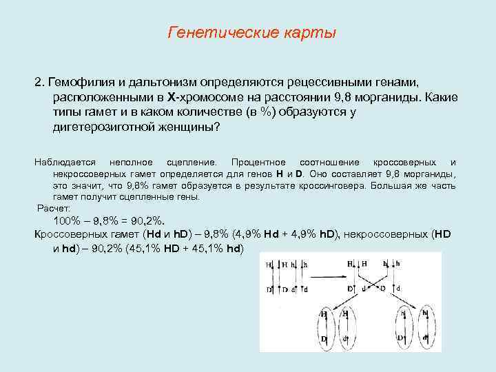 Дигетерозиготная по генам дальтонизма и гемофилии