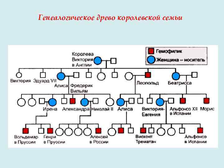 Генеалогическое древо королевской семьи 