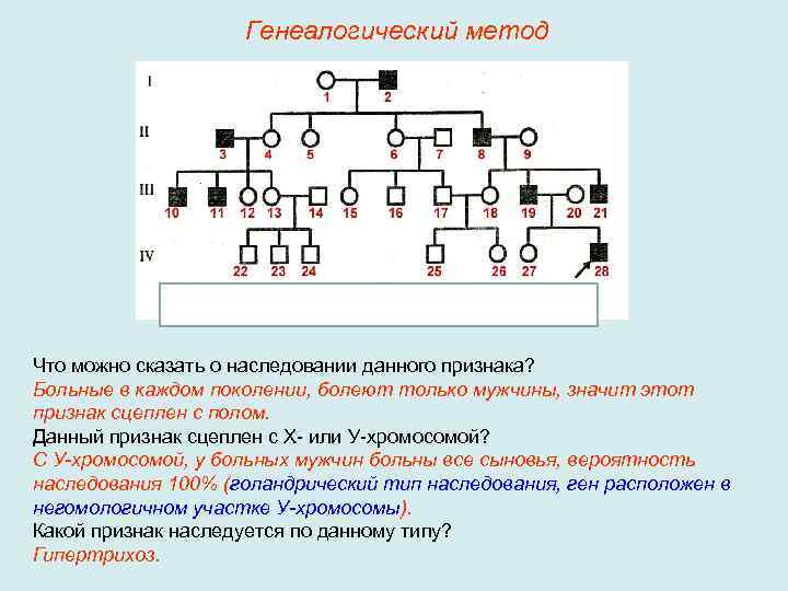 Генеалогический метод фото