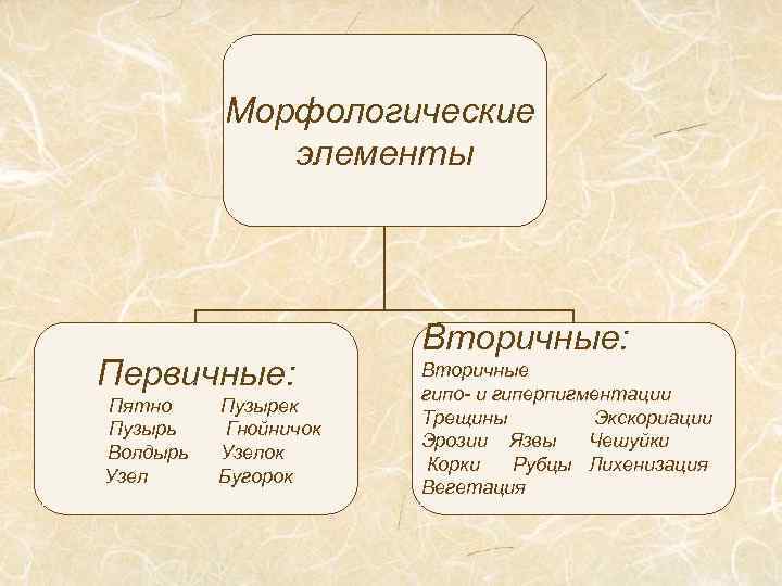 Схема соподчиненности элементов морфологической структуры ландшафта