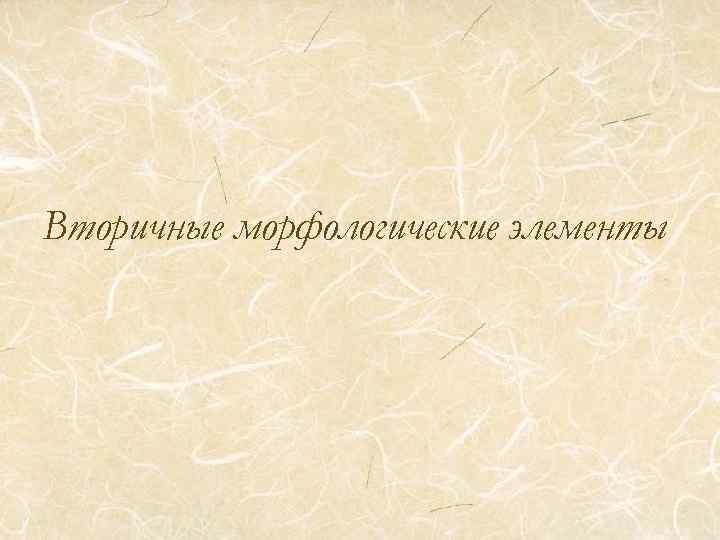Вторичные морфологические элементы 