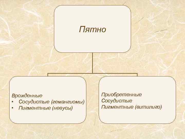 Пятно Врожденные • Сосудистые (гемангиомы) • Пигментные (невусы) Приобретенные Сосудистые Пигментные (витилиго) 