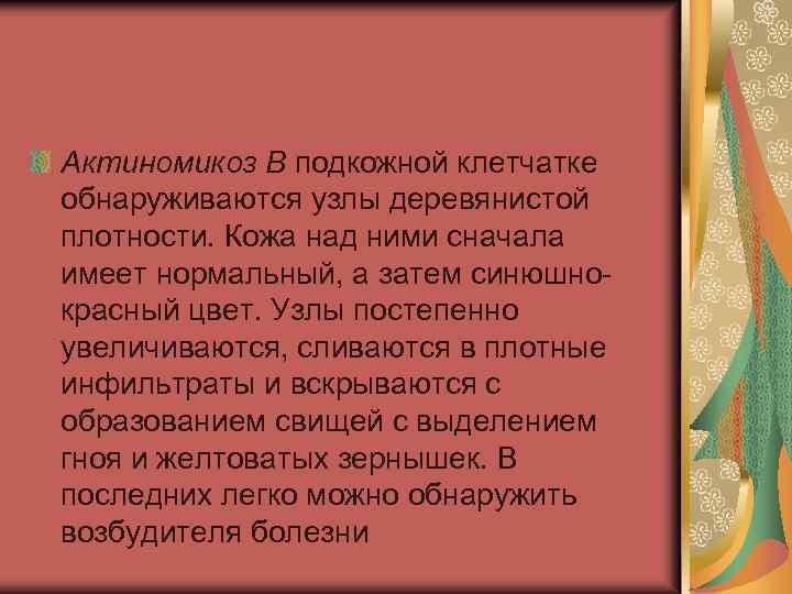 Актиномикоз В подкожной клетчатке обнаруживаются узлы деревянистой плотности. Кожа над ними сначала имеет нормальный,