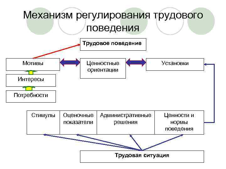 Установки ориентация поведения