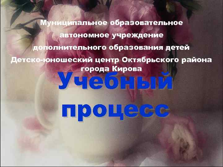 Муниципальное образовательное автономное учреждение дополнительного образования детей Детско-юношеский центр Октябрьского района города Кирова Учебный