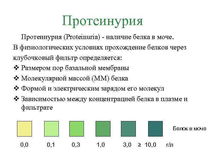 Определение белка в моче. Белок в моче. Протеинурия в моче. Наличие белка в моче. Причины белка в моче.