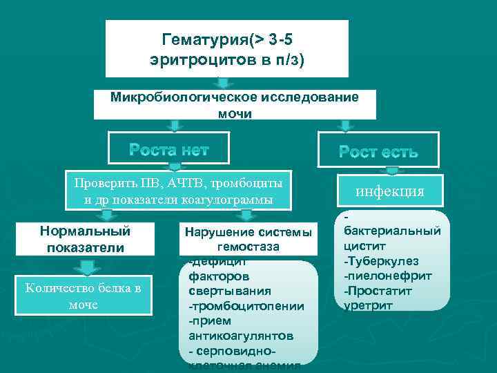 Гематурия(> 3 -5 эритроцитов в п/з) Микробиологическое исследование мочи Проверить ПВ, АЧТВ, тромбоциты и