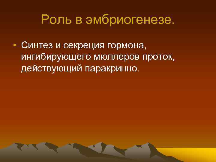 Роль в эмбриогенезе. • Синтез и секреция гормона, ингибирующего мюллеров проток, действующий паракринно. 