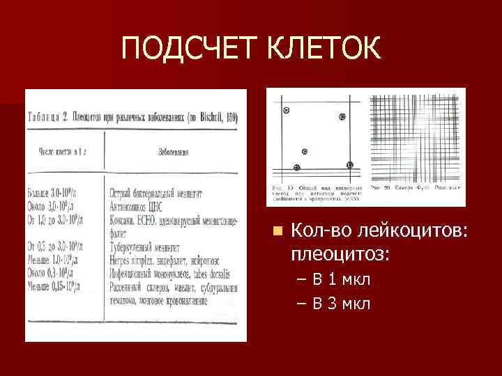 ПОДСЧЕТ КЛЕТОК n Кол-во лейкоцитов: плеоцитоз: – В 1 мкл – В 3 мкл