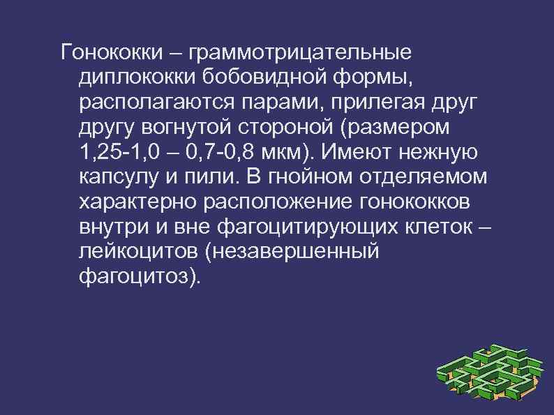 Гонококки – граммотрицательные диплококки бобовидной формы, располагаются парами, прилегая другу вогнутой стороной (размером 1,