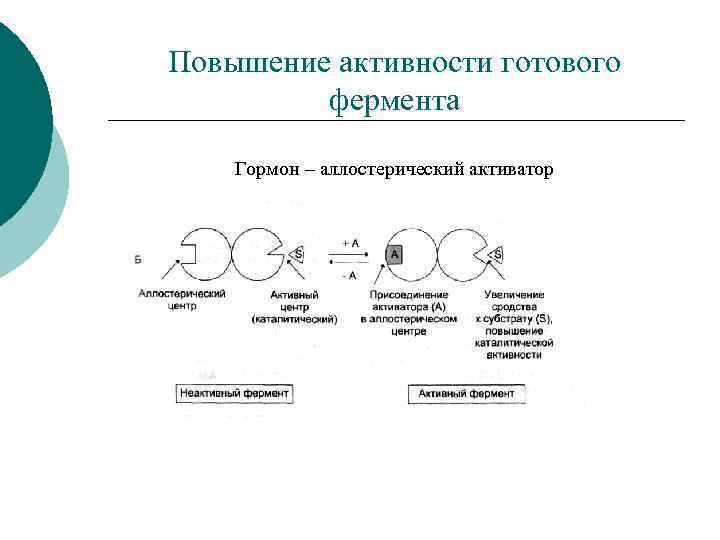Повышение активности готового фермента Гормон – аллостерический активатор 