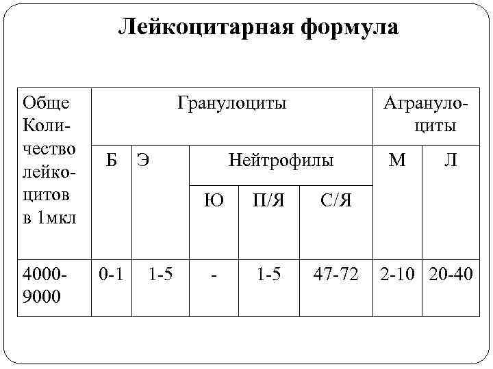 Лейкоцитарная формула Обще Количество лейкоцитов в 1 мкл 40009000 Гранулоциты Б Э Агранулоциты Нейтрофилы