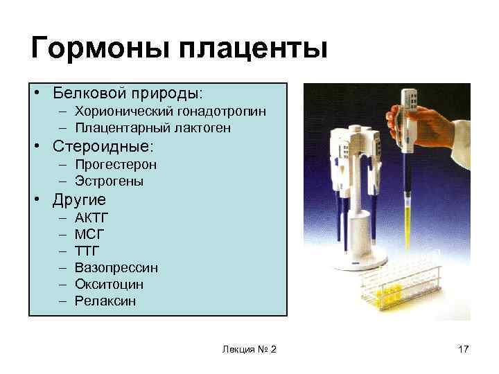 Эндокринная функция плаценты презентация